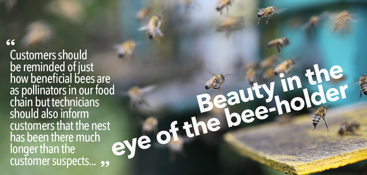 Talking to your customers about bees Talking to your customers about bees